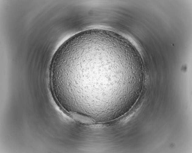X0000093620999200710291222