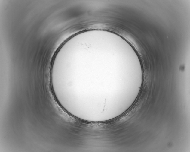 X0000093621000200710291222