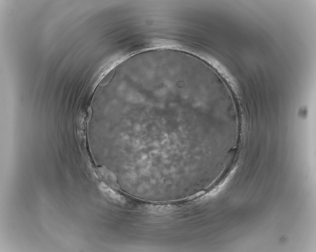 X0000093621001200710291222