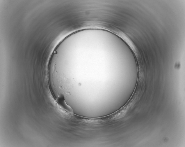 X0000093621004200710291222