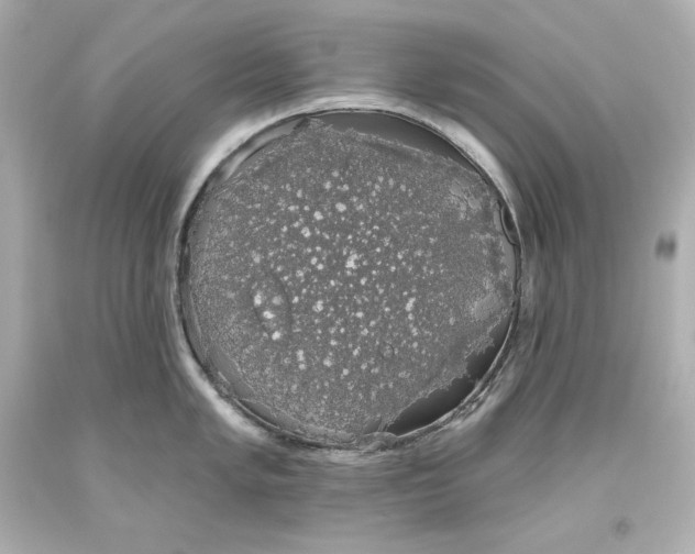 X0000093621005200710291222