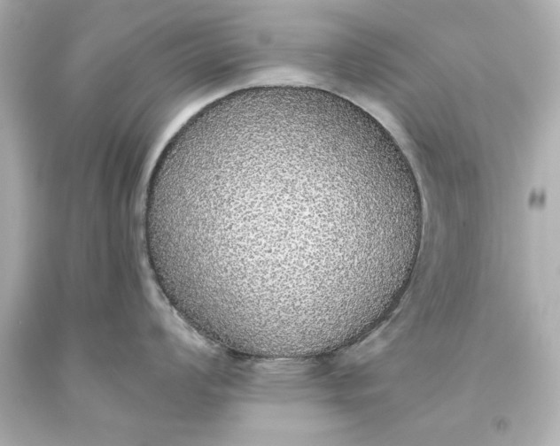 X0000093621008200710291222