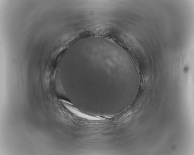 X0000093621010200710291222