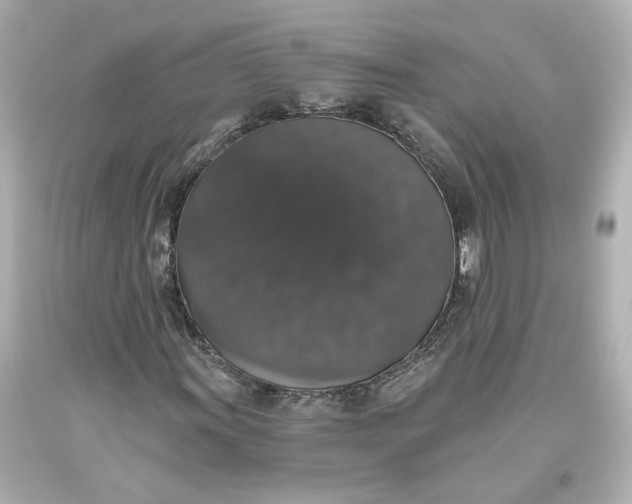 X0000093621011200710291222