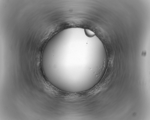 X0000093621012200710291222
