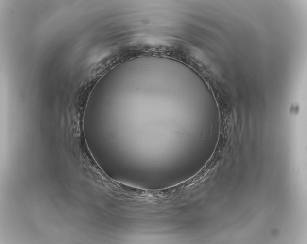 X0000093621013200710291222