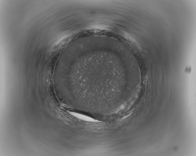 X0000093621014200710291222
