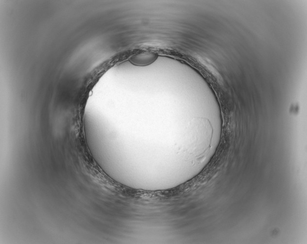 X0000093621015200710291222