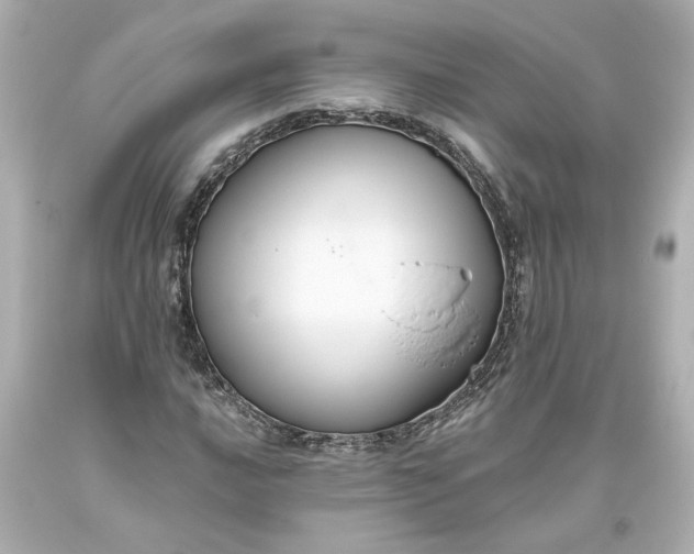 X0000093621016200710291222