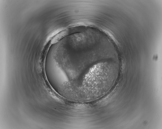 X0000093621018200710291222