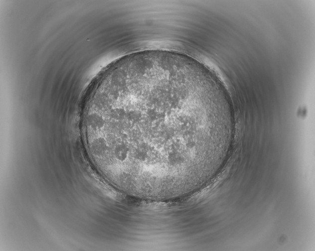 X0000093621019200710291222