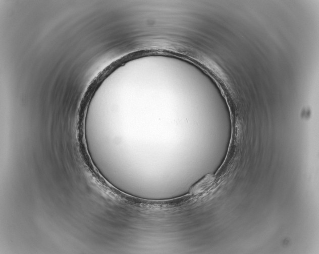 X0000093621020200710291222