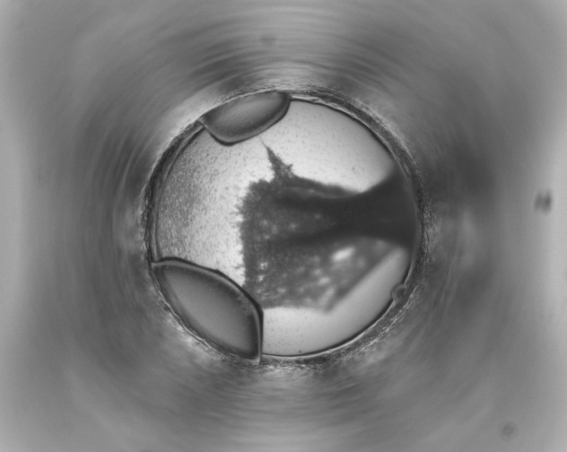 X0000093621026200710291222