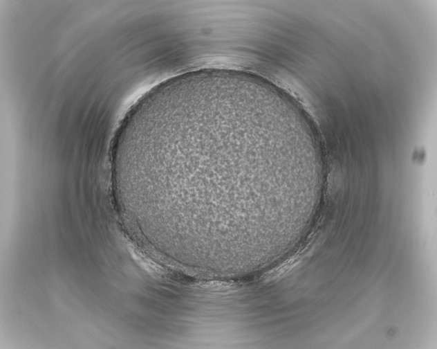 X0000093621027200710291222