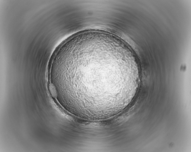 X0000093621028200710291222