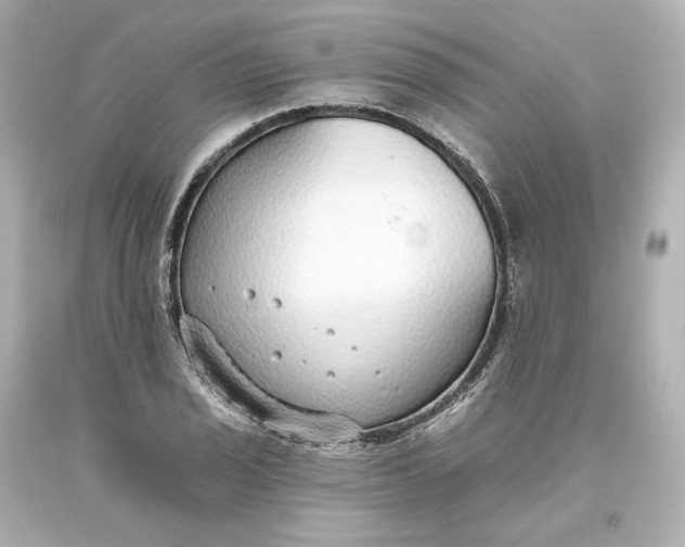 X0000093621029200710291222