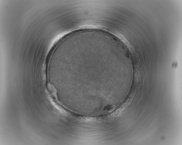 X0000093621030200710291222