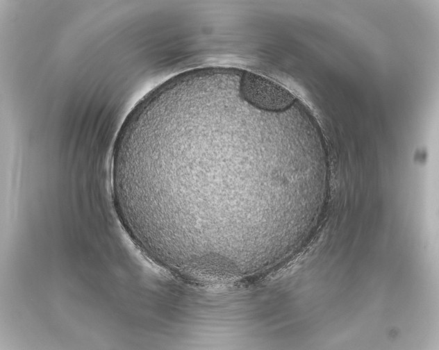 X0000093621032200710291222