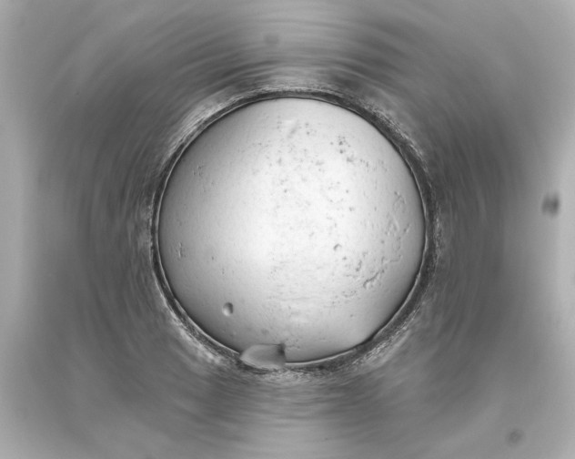 X0000093621033200710291222