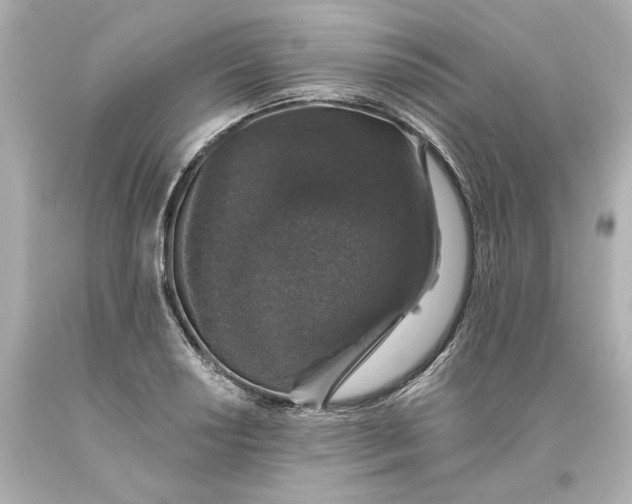 X0000093621034200710291222
