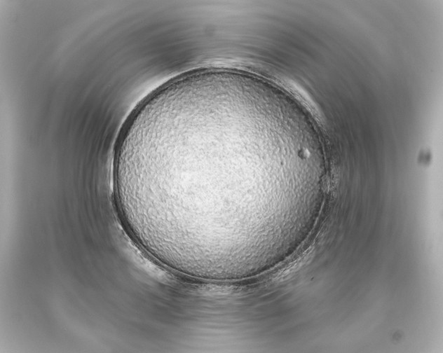 X0000093621036200710291222