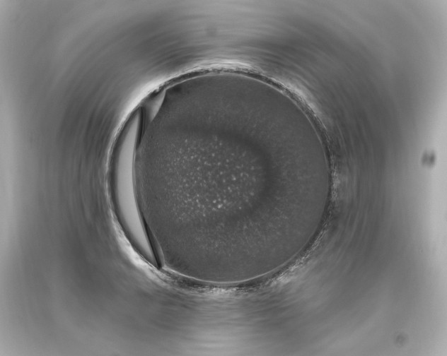 X0000093621038200710291222