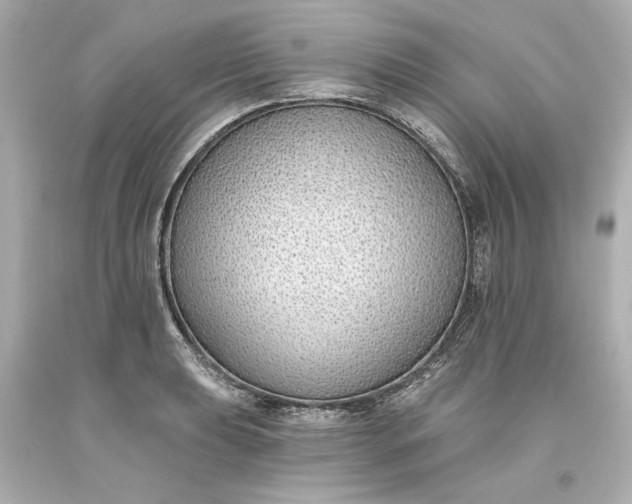 X0000093621039200710291222