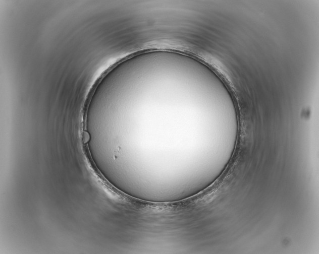 X0000093621040200710291222
