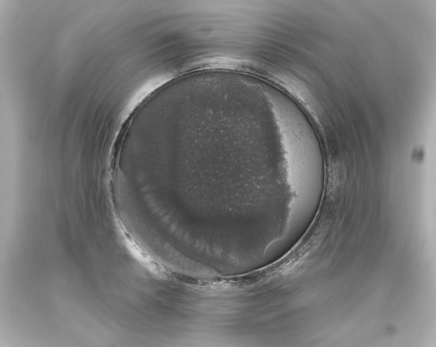 X0000093621042200710291222