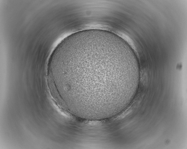 X0000093621043200710291222