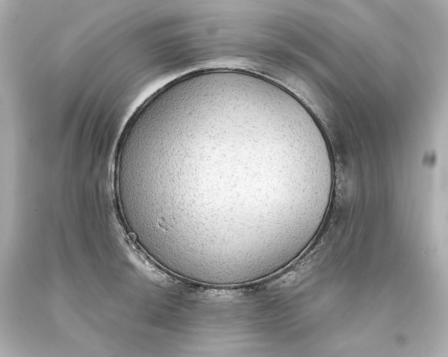 X0000093621044200710291222