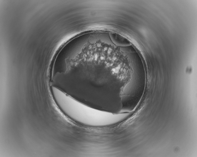 X0000093621045200710291222