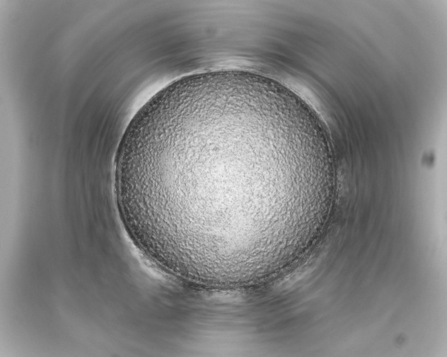 X0000093621047200710291222