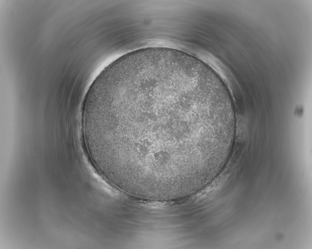 X0000093621048200710291222