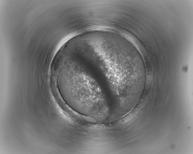X0000093621050200710291222