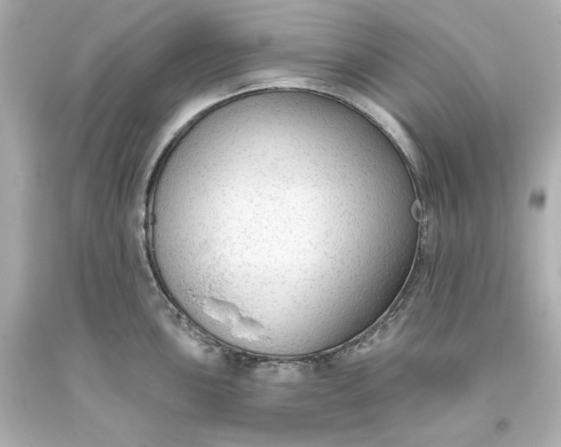 X0000093621051200710291222