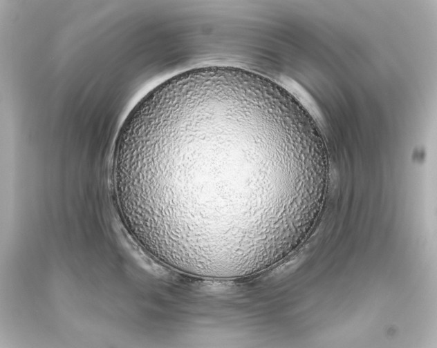 X0000093621052200710291222