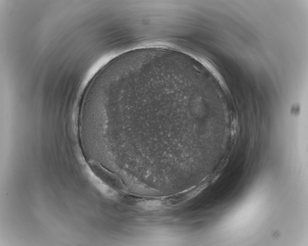 X0000093621054200710291222