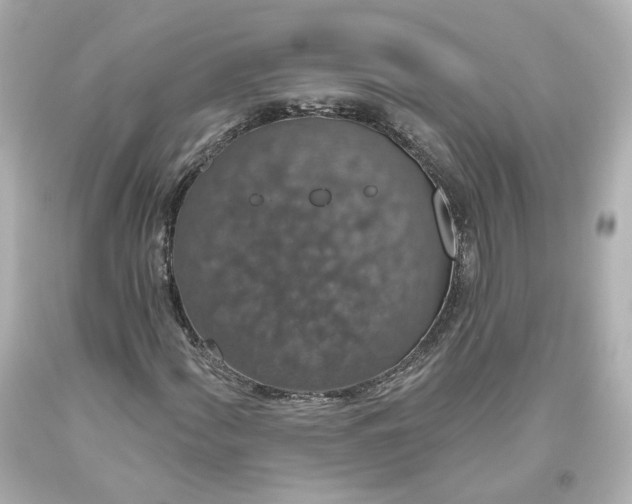X0000093621060200710291221