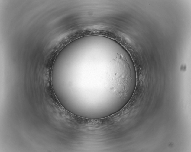 X0000093621062200710291221