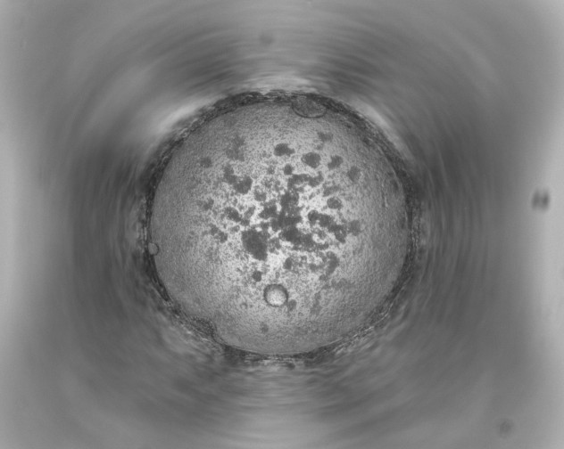 X0000093621063200710291221