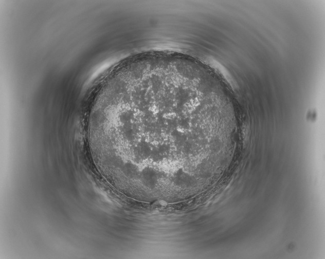 X0000093621064200710291221