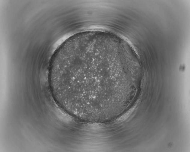 X0000093621066200710291221