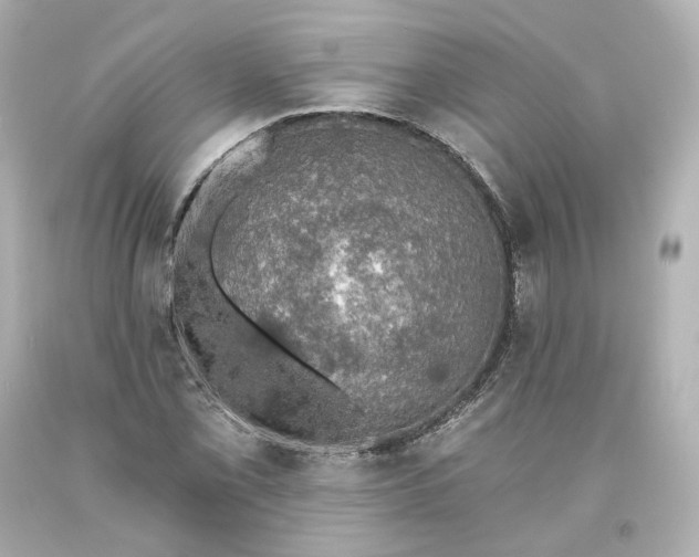 X0000093621069200710291221