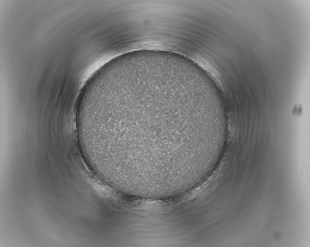 X0000093621070200710291221