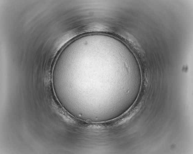 X0000093621073200710291221