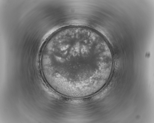 X0000093621074200710291221