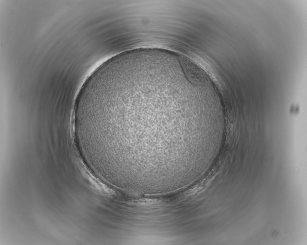 X0000093621076200710291221