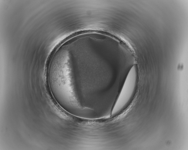 X0000093621077200710291221