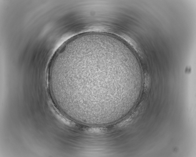 X0000093621078200710291221